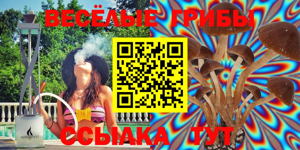 Галлюциногенные грибы Cubensis  Галлюциногенные грибы Magic Shrooms  Когалым  Вход с VPN 